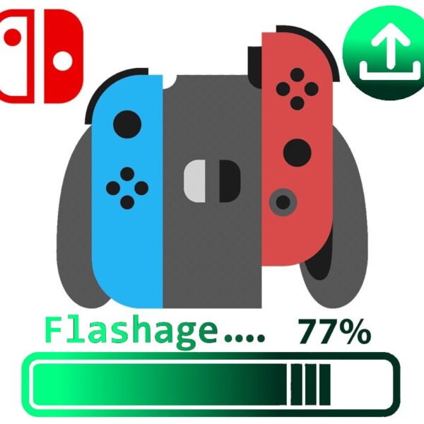 PUCE NINTENDO SWITCH / LITE / OLED + SD + JEUX