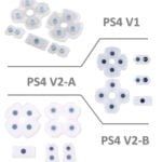 JOINTS BOUTONS MANETTE PS4/PS5